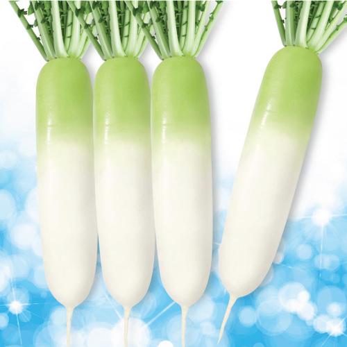 tani-murni-indonesia-website-product-page-category-lobak-green-boss-thumbnail